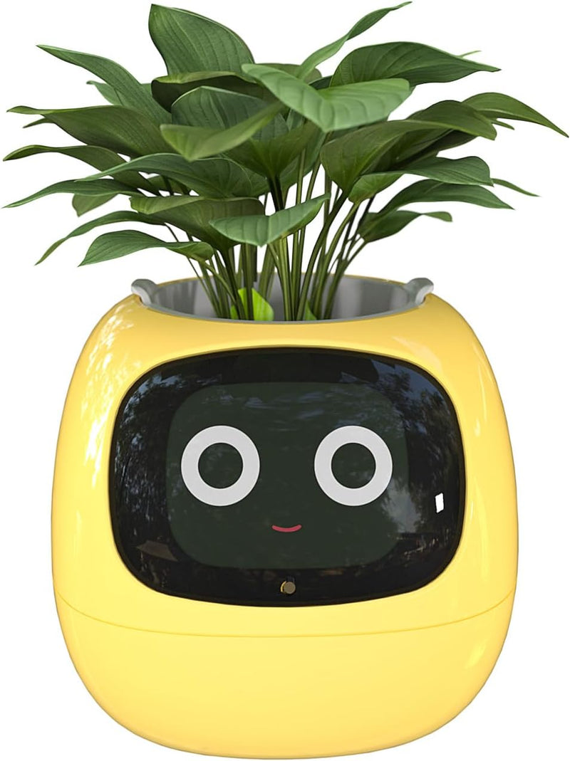 Robot Pot with Artificial Intelligence Plant Ivy Masdio