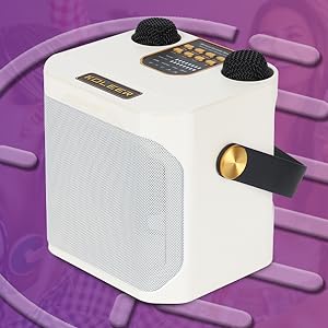 Altavoz Bluetooth Karaoke Portátil Inalámbrico con micrófono Dual Boombox