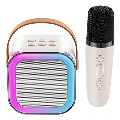 Professional Karaoke Speaker with Bluetooth Audio