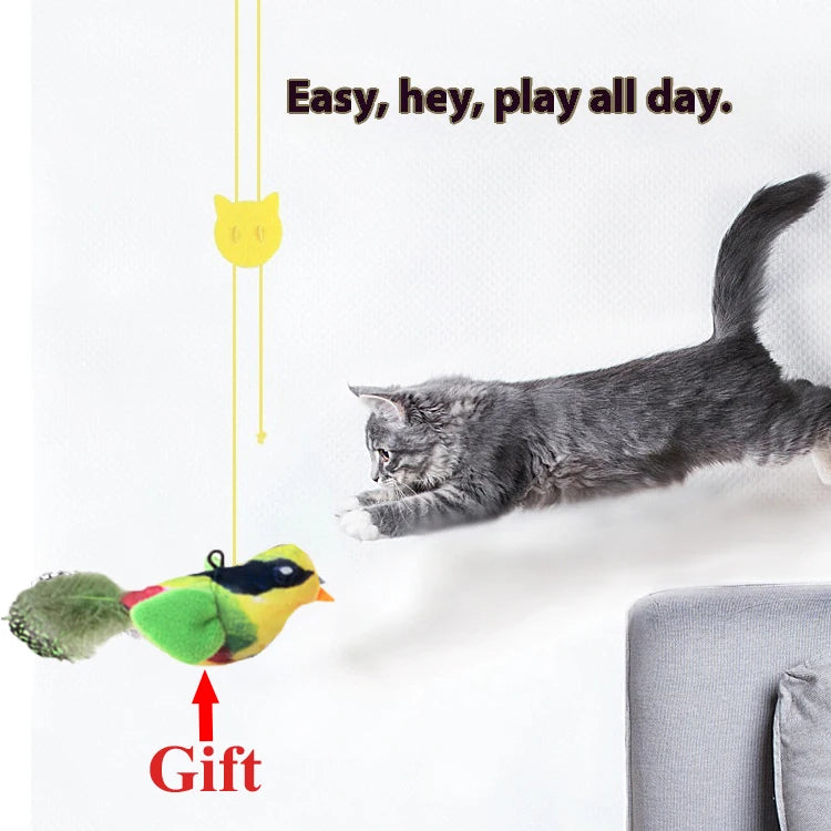 Enabot EBO SE, Cámara Inteligente para Perros y Gatos