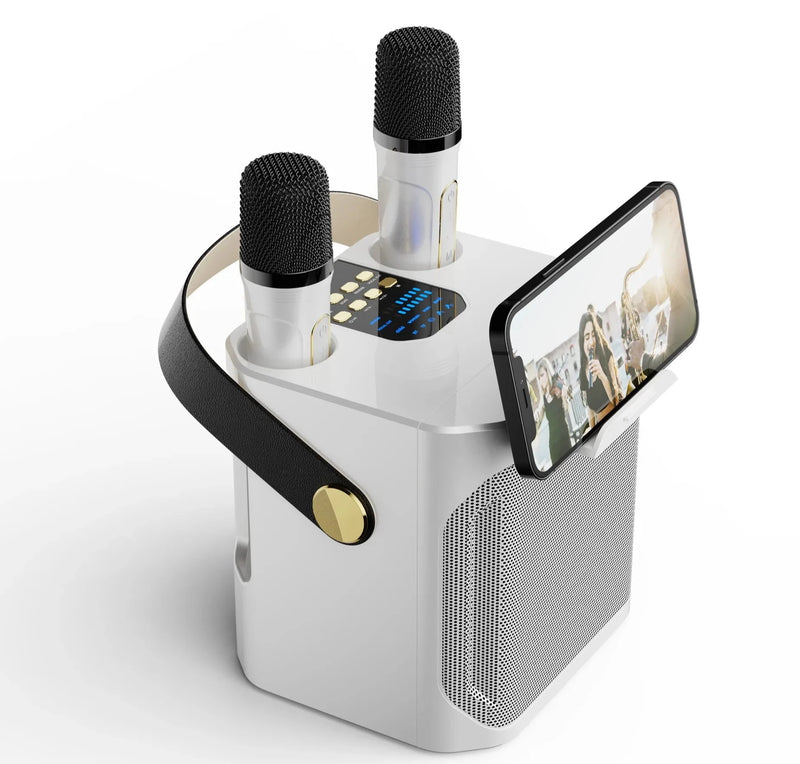 Portable Wireless Bluetooth Karaoke Speaker with Dual Microphone Boombox