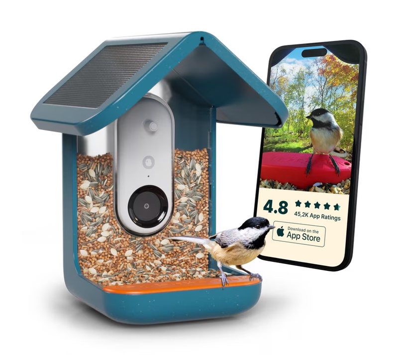 Bird Buddy Pro Alimentador Solar Para Aves Con Cámara Inteligente 2K