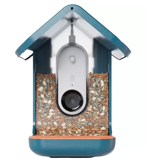 Bird Buddy Pro Alimentador Solar Para Aves Con Cámara Inteligente 2K