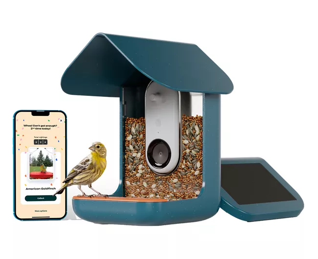 Bird Buddy Pro Alimentador Solar Para Aves Con Cámara Inteligente 2K