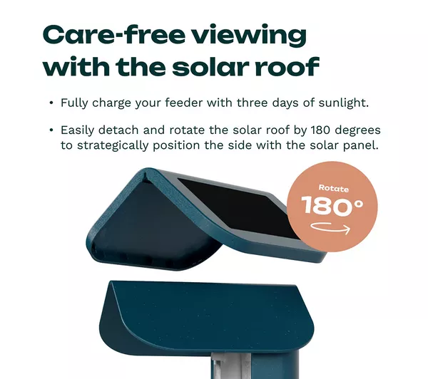 Bird Buddy Pro Alimentador Solar Para Aves Con Cámara Inteligente 2K