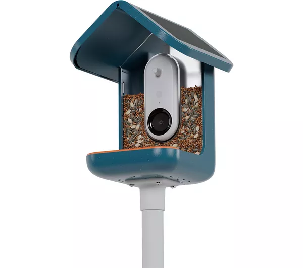 Bird Buddy Pro Alimentador Solar Para Aves Con Cámara Inteligente 2K