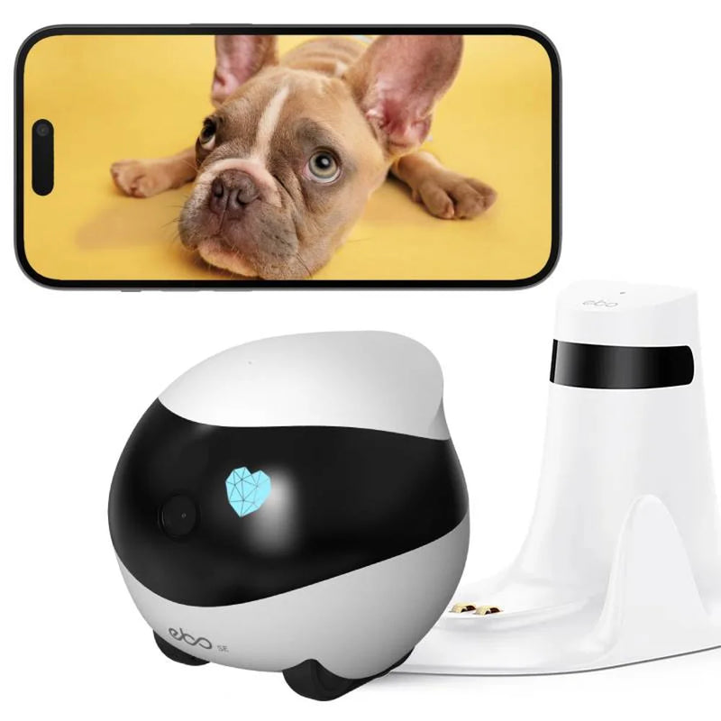 Enabot EBO SE, Cámara Inteligente para Perros y Gatos