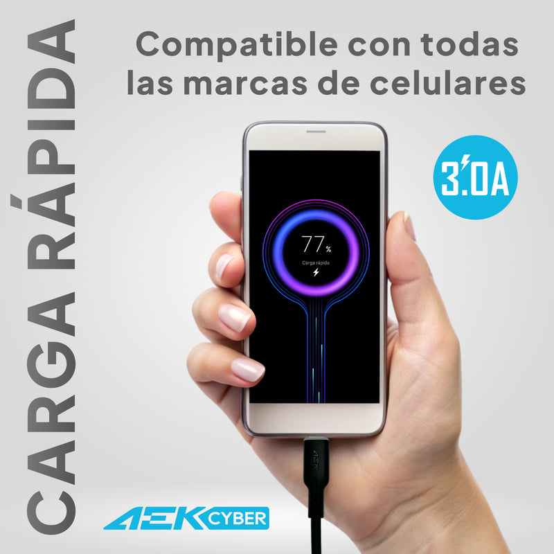 AEK CYBER Cargador rápido Tipo-C de 30W con Cable de Carga de 1M