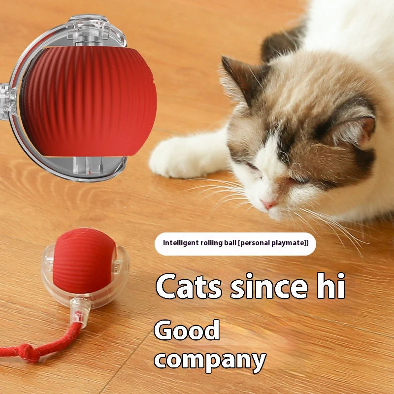 Pelota Interactiva para Gatos, Eléctrica, Recargable y con Sensor de Movimiento