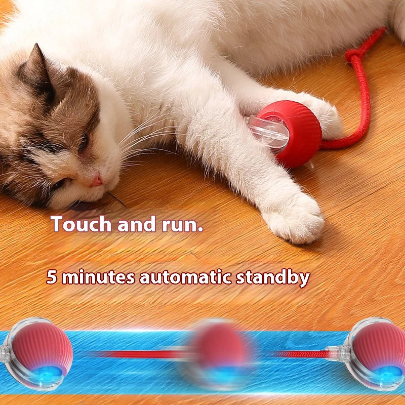 Pelota Interactiva para Gatos, Eléctrica, Recargable y con Sensor de Movimiento