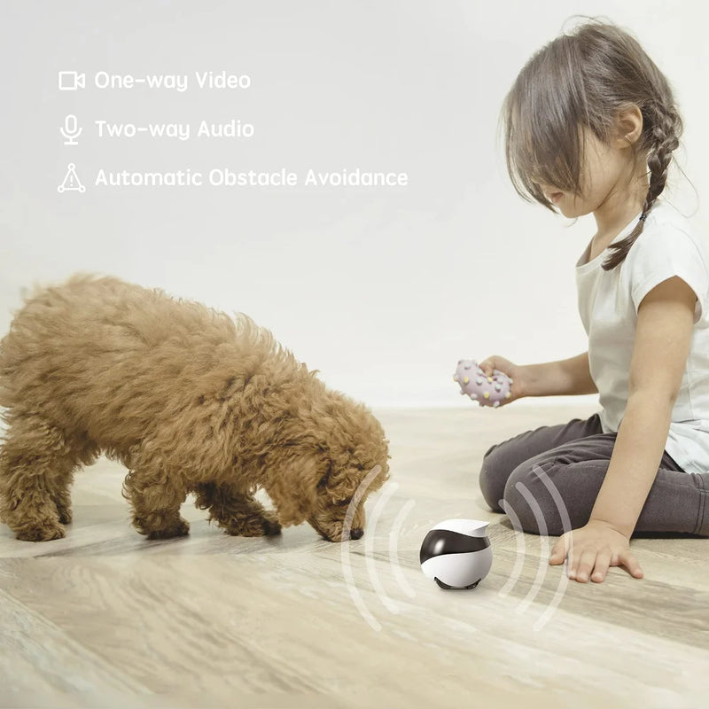 Enabot EBO SE, Cámara Inteligente para Perros y Gatos
