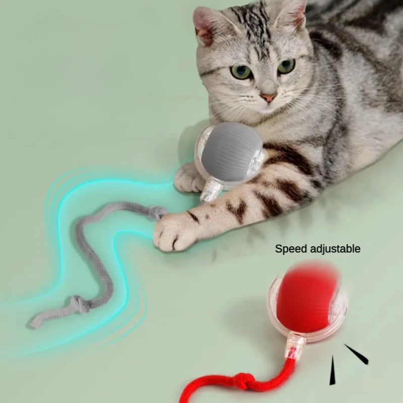 Pelota Interactiva para Gatos, Eléctrica, Recargable y con Sensor de Movimiento
