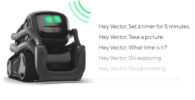 Vector Robot with Artificial Intelligence