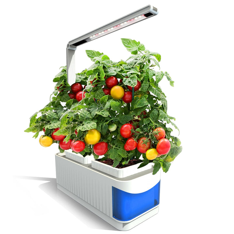 Caja de Sistema Hidropónico Inteligente de Cultivo de Jardín
