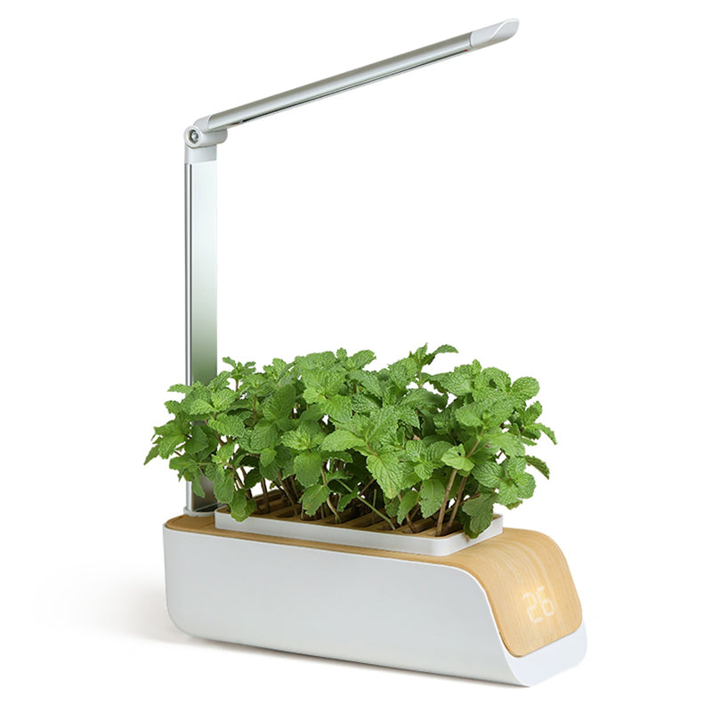 Caja de Sistema Hidropónico Inteligente de Cultivo de Jardín
