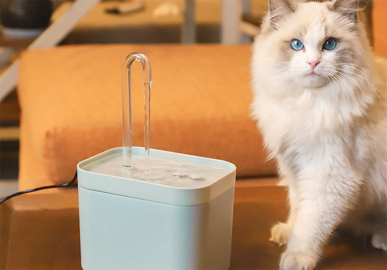 Bebedero Eléctrico con Filtro Automático para Mascotas