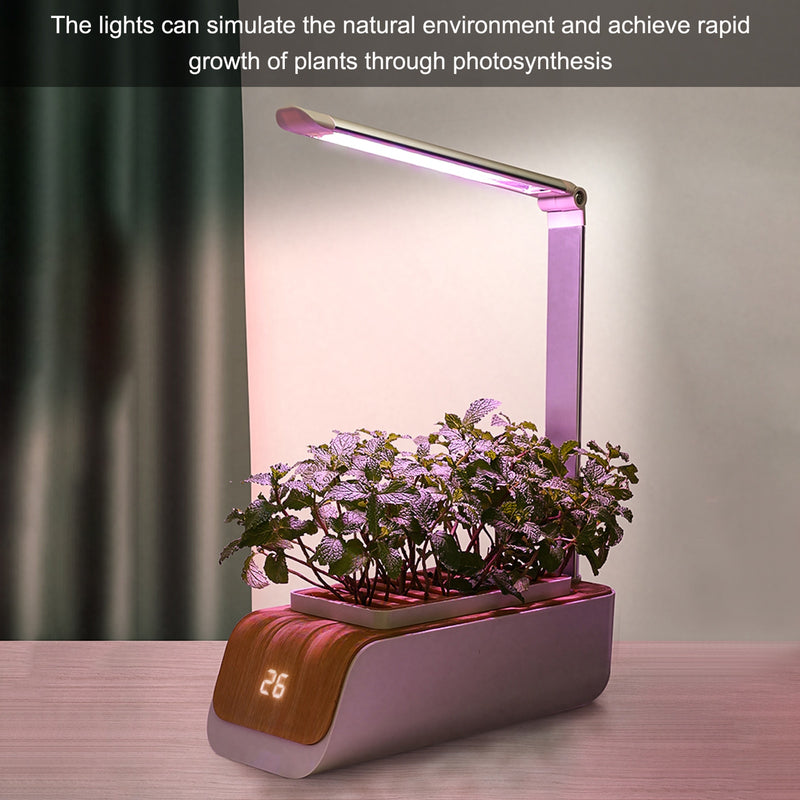 Caja de Sistema Hidropónico Inteligente de Cultivo de Jardín